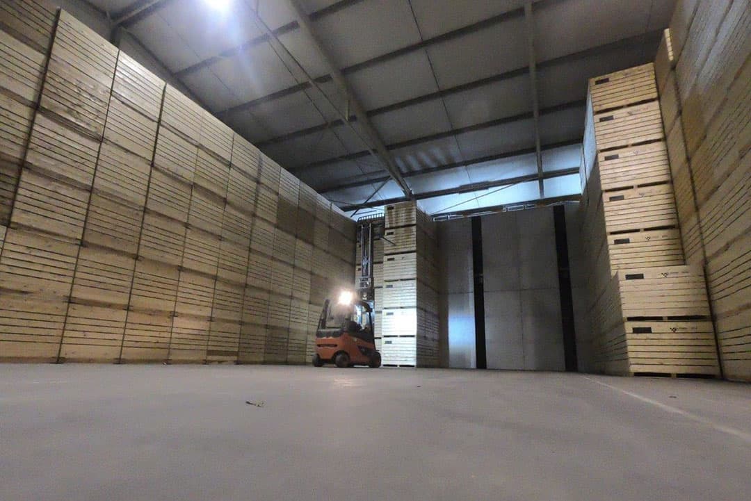 Er wordt rijdend gelost omdat er van de lange rijen geen rondje in de bunker past. Lossen kost zo geen extra tijd.