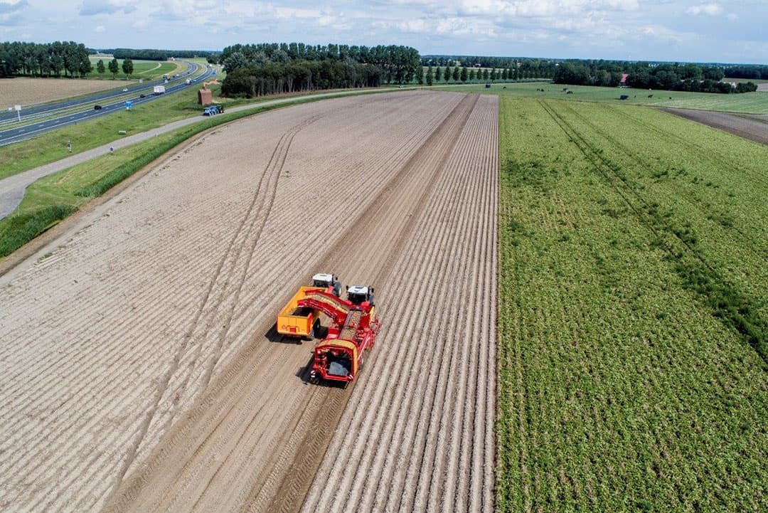 Landbouwbedrijf Gebroeders de Zeeuw in Nagele is begonnen met de oogst van het vroege pootgoedras Agata. De Zeeuw rooit met 2 nieuwe Grimme SV 260-bunkerverstekrooiers. - Foto's: Sytze Bakker