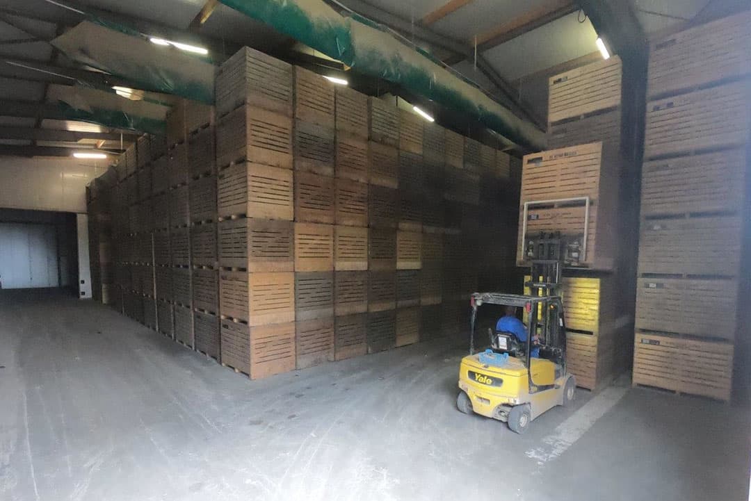 Het pootgoed wordt met meerdere grote kippers naar de locatie in Emmeloord gebracht.