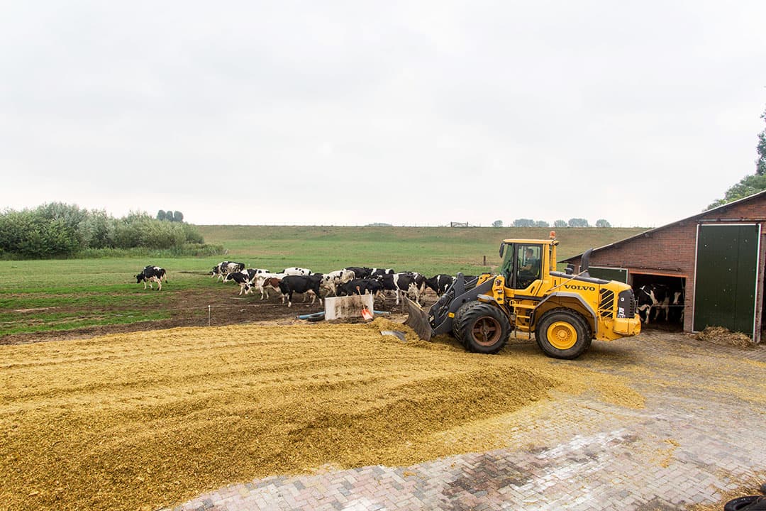 Foto: Herbert Wiggerman