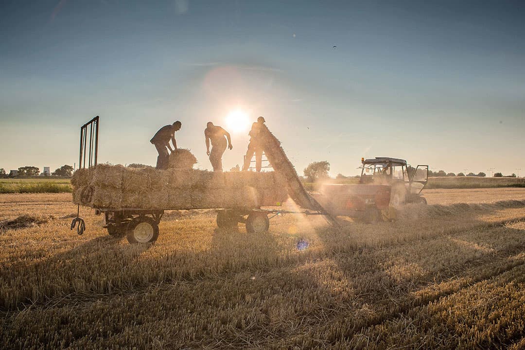 Foto: Peter Roek