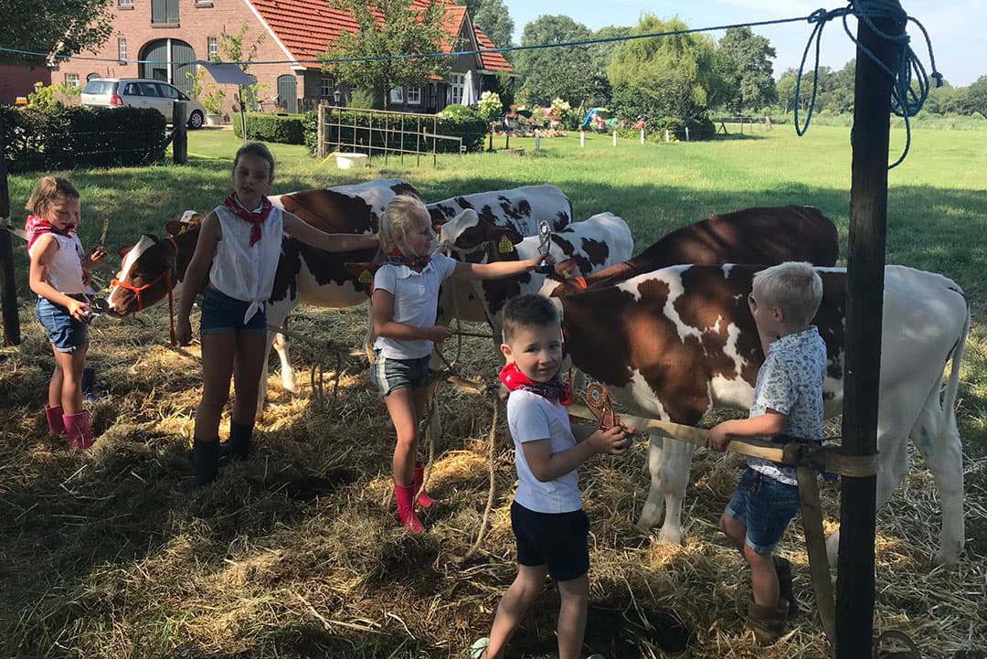 Het uiterlijk van de geimproviseerde fokveedag leek zoveel mogelijk op die van een echte fokveedag. - Foto: Familie Meutstege