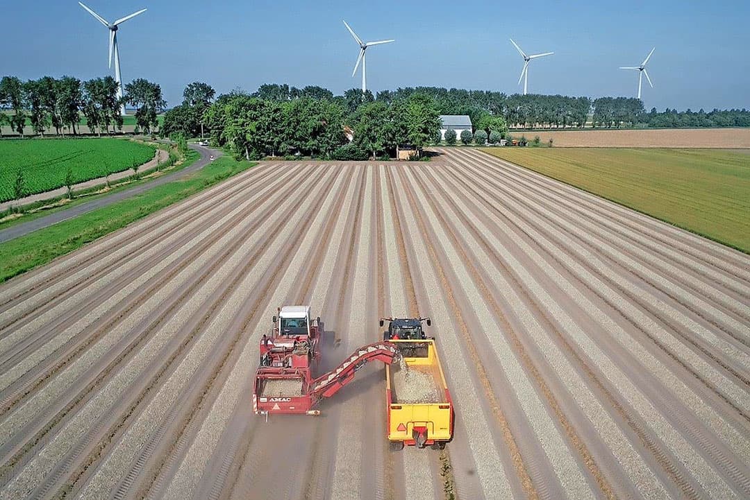 Foto: Sytze Bakker