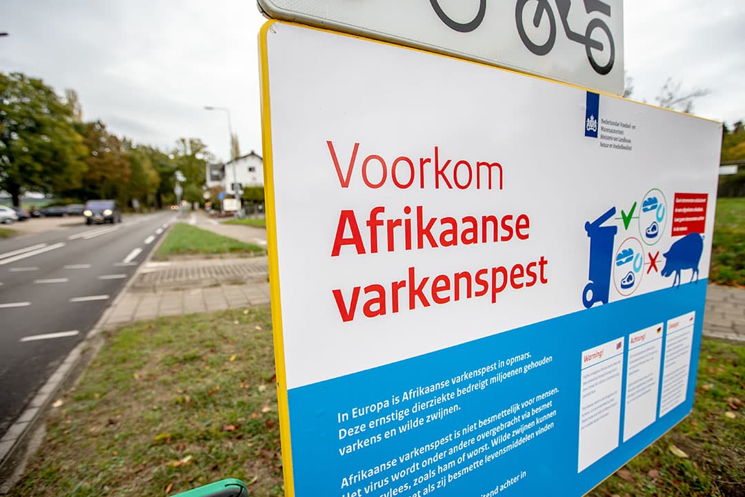 MAASTRICHT - Een goede zaak van het ministerie van Nederlandse Voedsel- en Warenautoriteit (NVWA) om te waarschuwen voor de Afrikaanse varkenpest. Alleen is de vraag, waar plaats je een bord en hoeveel tekst zet je er op. Of deze lokatie geschikt is valt nog te bezien. Even voorbij het Tankstation aan de Akersteenweg richting Margraten.  Niet echt een plek om eventjes te stoppen om de tekst te gaan lezen. Je moet eerst je auto parkeren op het tankstation en dan er naar toe lopen of je zet de auto op een parking aan de overzijde bij het Hotel/restaurant en dan een stukje teruglopen tegen het verkeer in. NOVUM COPYRIGHT JEAN-PIERRE GEUSENS