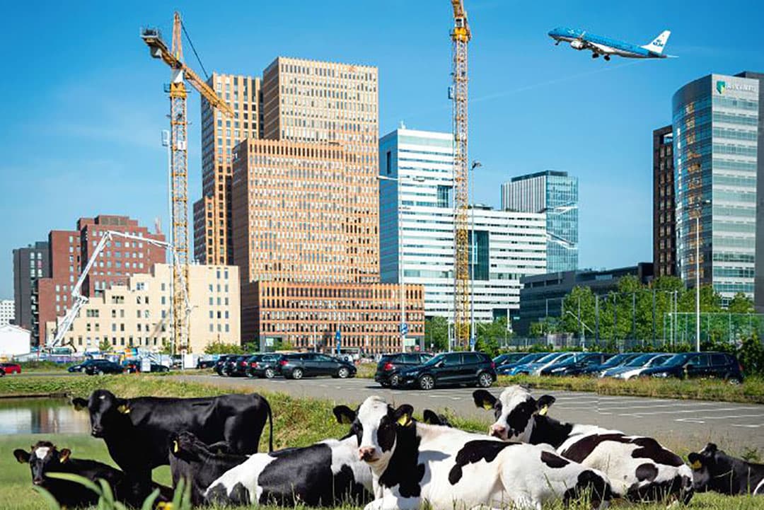 Beeldbewerking Boerderij