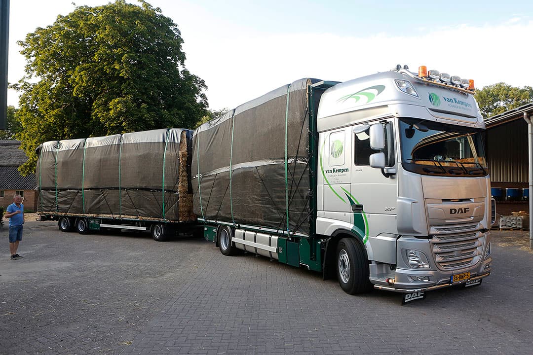 Het stro kleurt goudgeel. De stroprijs zit dit jaar tussen ¬  105 en ¬  115 per ton, bij afname van een volle combinatie, vertelt Van Kempen.