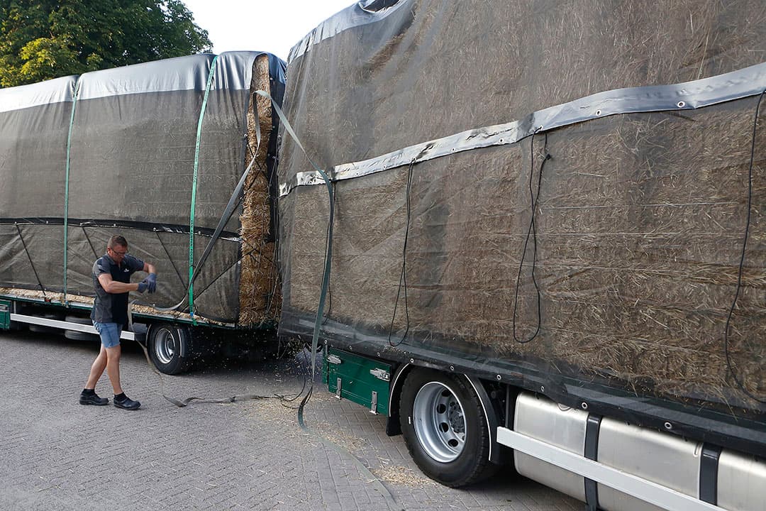 De vracht is om meerdere redenen volledig afgezeild, zegt foeragehandelaar Arjan van Kempen. Het stro kan niet natregenen onder het zeil. Het zeil voorkomt afvallende lading en het voorkomt eveneens dat via bijvoorbeeld vogelpoep, ziektekiemen die schadelijk zijn voor de diergezondheid op het varkensbedrijf in het sto terechtkomen.