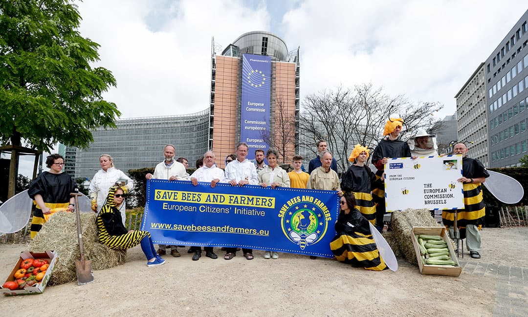 Op meerdere plaatsen probeert Boele de Vries ridderzuring aan te pakken. De planten schieten momenteel de grond uit.  Voordat je het weet, zit je hele grasland er onder en dat gaat ten koste van de grasopbrengst , aldus De Vries, die bij loonbedrijf Sjoerd Nauta in Grou werkt. Hij spuit op percelen die vorig jaar over de kop zijn gehaald het middel Buttress, een contactherbicide voor de bestrijding van éénjarige en meerjarige breedbladige onkruiden. De lange penwortels van de ridderzuring zijn in stukken gehakt en elk stuk wortel kan weer tot een nieuwe plant uitgroeien. - Foto: Alex de Haan
