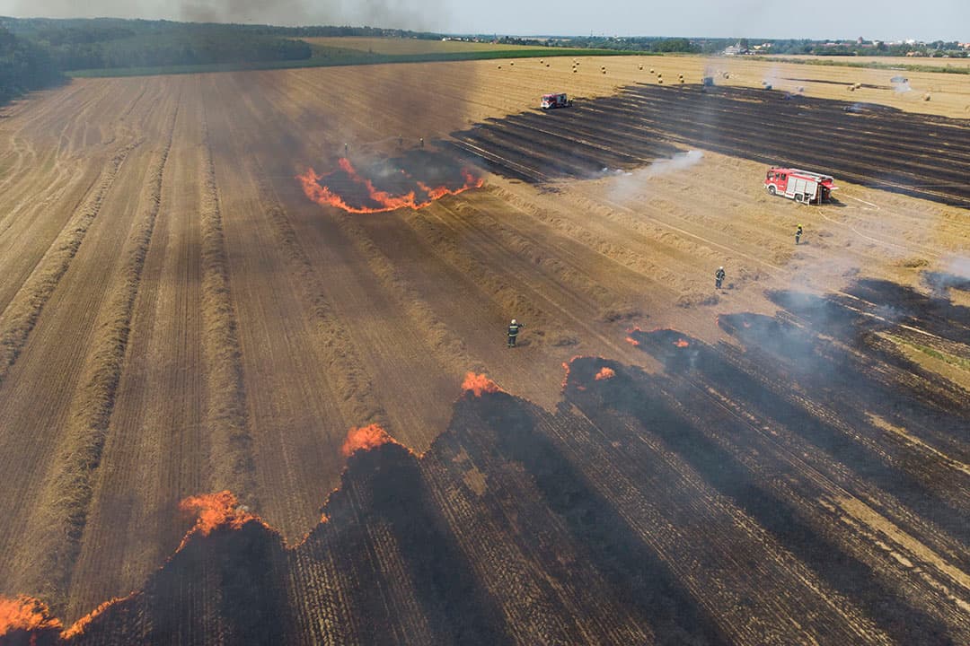 In het noorden van Nederland wordt de droogte steeds erger. Boeren beregenen nog regelmatig, zoals hier op grasland. Maar dat mag op minder plaatsen, omdat het waterschap Hunze en Aa's een verbod heeft afgekondigd. - Foto: Koos van der Spek
