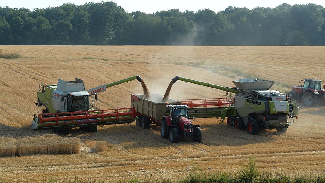 De oogst van koolzaad in het oosten van Groningen. Is het geen plaatje? - Foto: Mark Pasveer