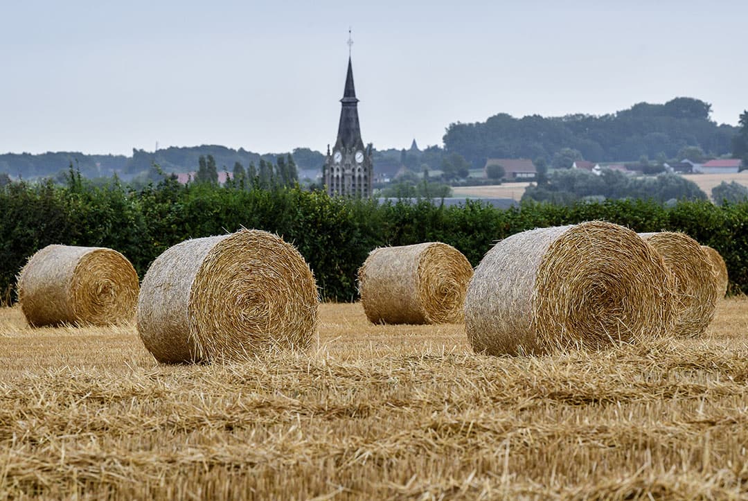Na de graanoogst liggen de balen stro te wachten totdat ze worden opgehaald van het land, in Godewaersvelde, in het noorden van Frankrijk. - Foto: EPA