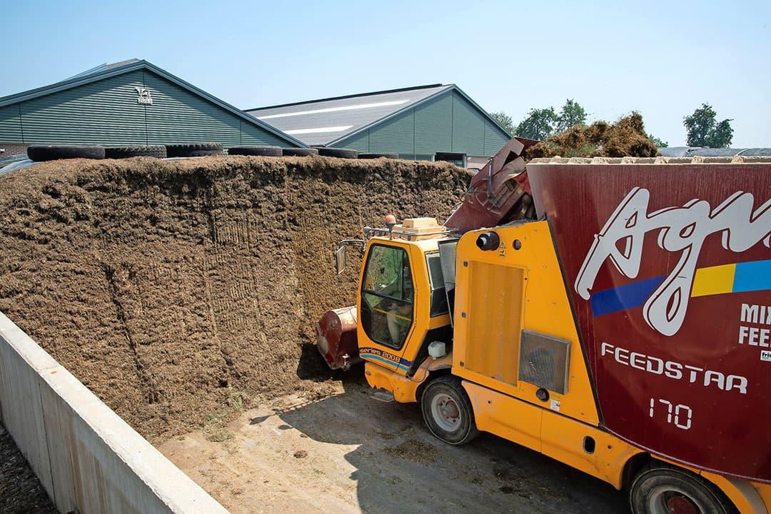 De 36-stands carrousel. In lastige fosfaatjaren ging de melkproductie toch omhoog. Van 2.050.000 kilo per jaar (2015) tot 2.750.000 kilo (2016) en 2.950.000 (2018) en van 3.300.000 kilo (schatting 2019) tot 3.450.000 kilo (schatting 2020).