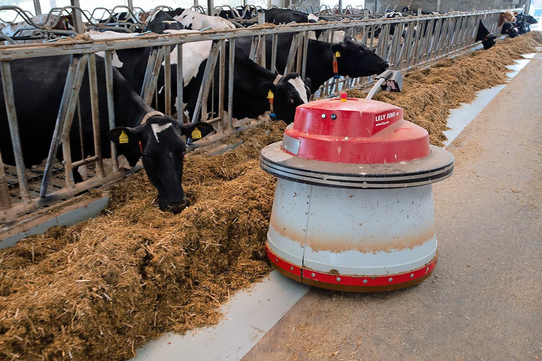 Broers Jeffrey (36) en Jurgen (37) Conjarts zitten in het Zuid-Limburgse Margraten in maatschap. De maten hebben een veebedrijf met 330 melkkoeien, 170 stuks jongvee en 170 hectare land. - Foto s: Twan Wiermans
