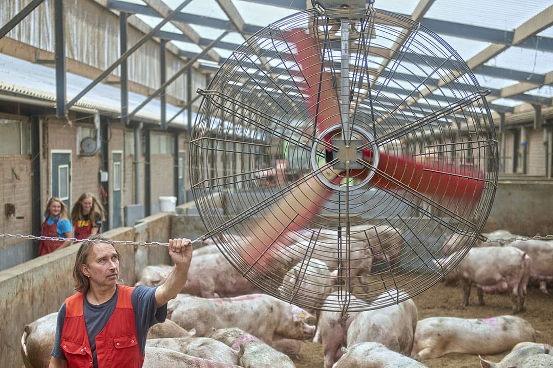 Foto: Van Assendelft Fotografie