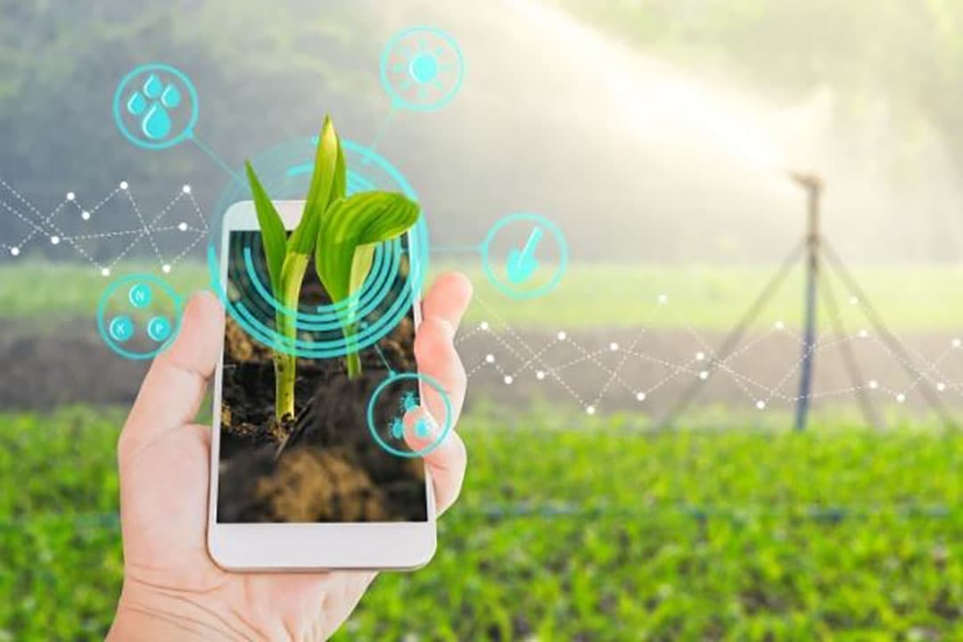 Foto: Canva