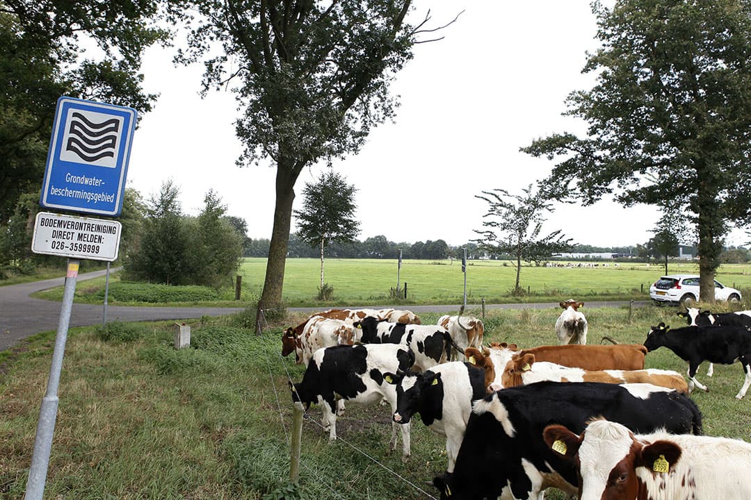 Foto: Hans Prinsen