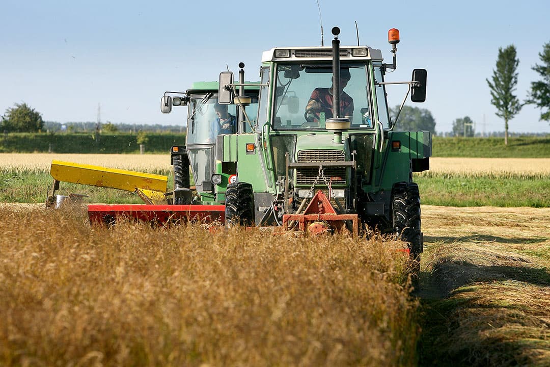 Foto: Peter Roek