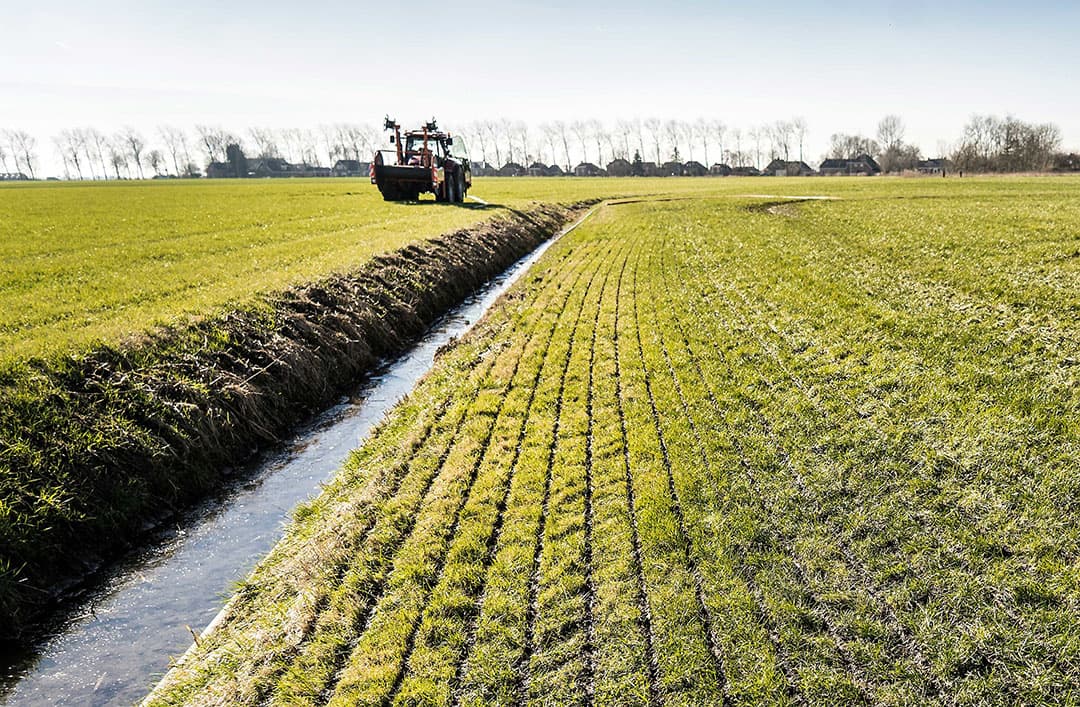 Foto: Koos Groenewold