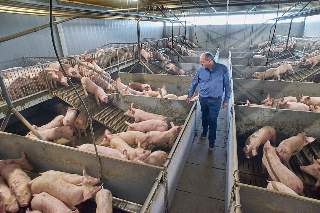 Foto: Van Assendelft Fotografie