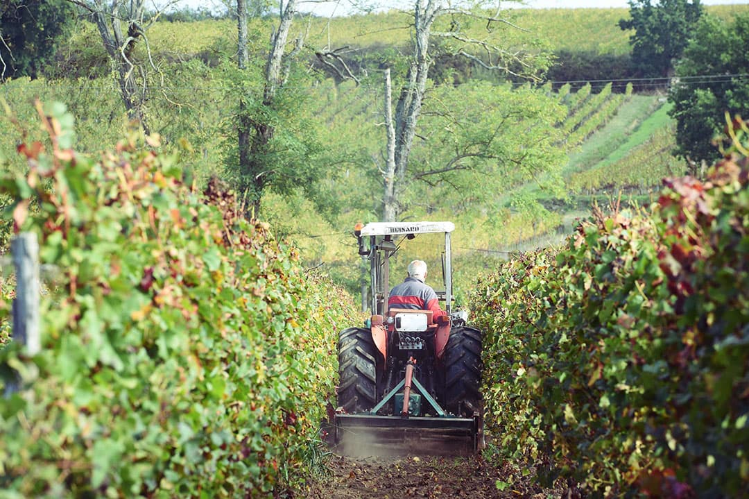 2017-10-23 11:02:19 Organic winemaker Christian Sabate, drives a tractor fitted with a weeding machine through the vines of the Chateau Fontbaude, which produces Castillon Cotes de Bordeaux designation wine, on October 23, 2017, in Saint-Magne-de-Castillon, southwestern France, as he weeds the crops mechanically and without herbicides. Experts from the 28 member states of the European Union are due to vote on October 25, 2017, on the European Commission recommendation to renew the license for the herbicide glyphosate for ten years in mid-December. Research from the World Health Organization concluded the weedkiller, produced by chemicals giant Monsanto and others, may cause cancer, and opponents too the chemical are calling for an outright ban.  / AFP PHOTO / MEHDI FEDOUACH