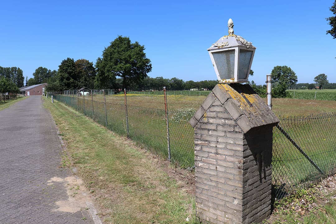 De stallen zijn voorzien van automatische wegrolnesten waarna de eieren via banden naar het centrale eierlokaal worden getransporteerd. - Foto: Van den Berk & Kerkhof
