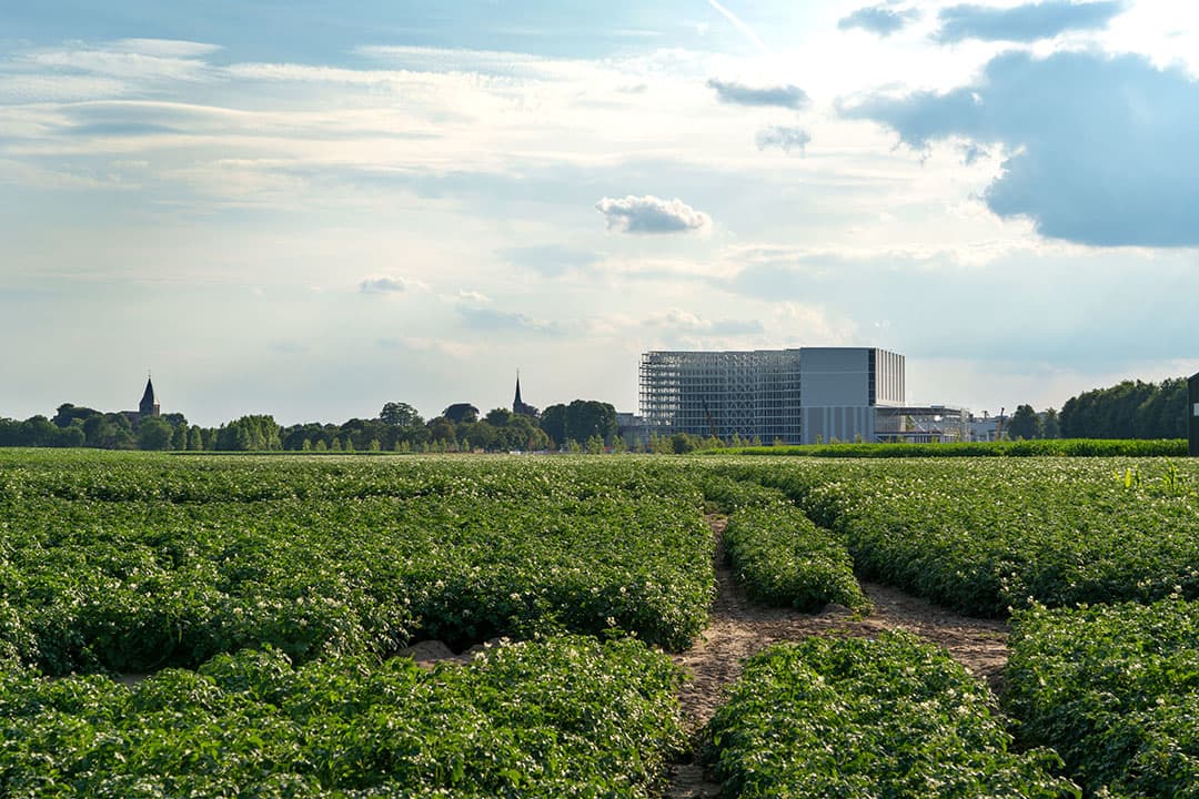 De wintergerst van Koos Naaijer uit het Groningse Scheemda gaat er eindelijk af. De akkerbouwer wilde eigenlijk al eerder met de combine aan de slag, maar het weer was nog net even te regenachtig. Het vochtpercentage was nu tijdens de oogst een mooie 15%. - Foto: Koos van der Spek