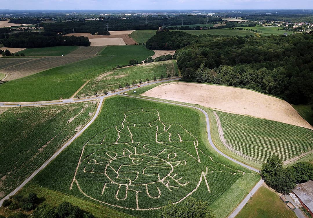 De Duitse boer Luenemann maakt elk jaar een doolhof in z'n maisveld. Dit jaar is het een ode aan de klimaatactiviste Greta Turnberg, die onder het motto Fridays For Future wekelijks op de stoep van het Zweedse parlement protesteert. - Foto: EPA