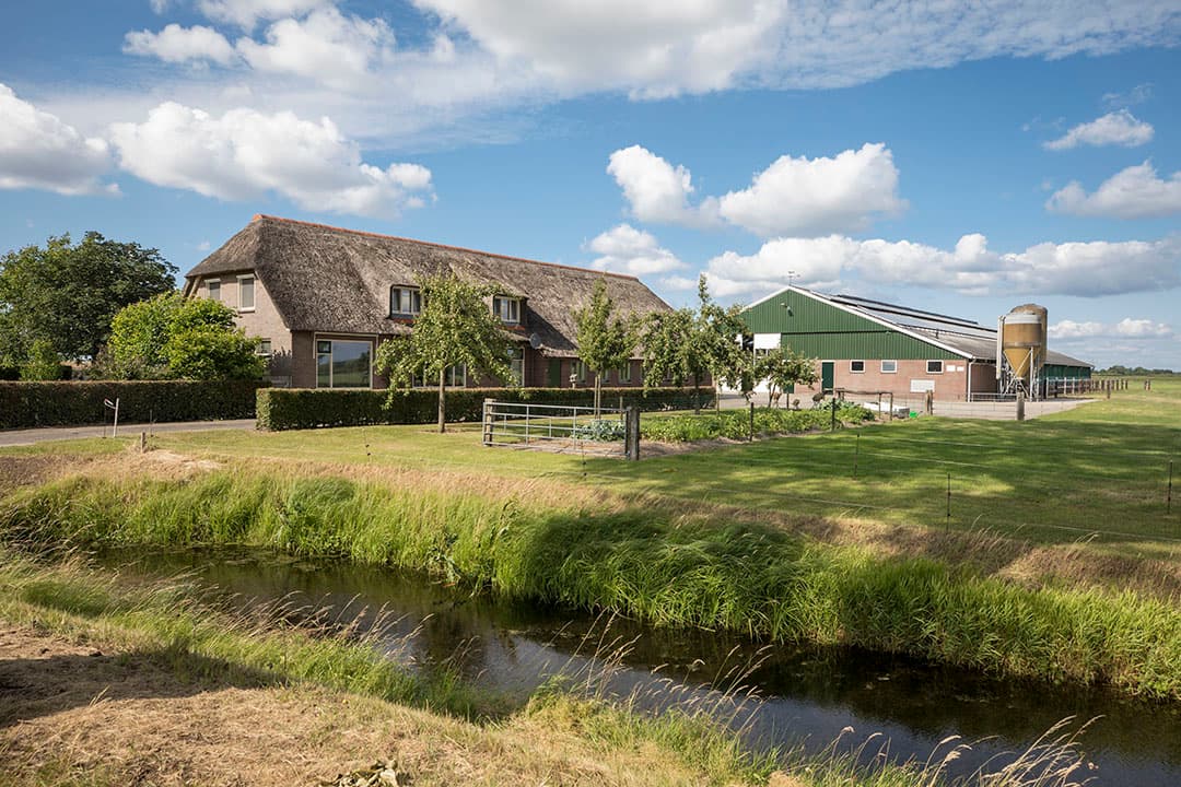 Ook een roterende koeborstel ontbreekt niet in de stal.