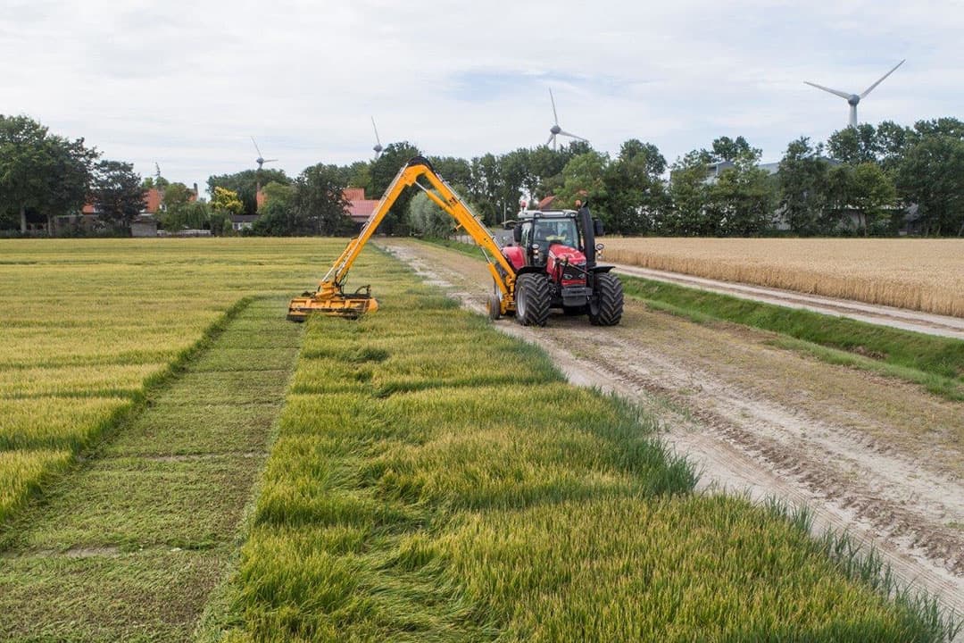 Na deze percelen is het eerst nog rustig met rooien. Naar verwachting worden deze eerstejaars aan het eind van de week binnen gereden. Van oktober tot en met maart volgend jaar worden deze eerstejaars plantuien afgeleverd.