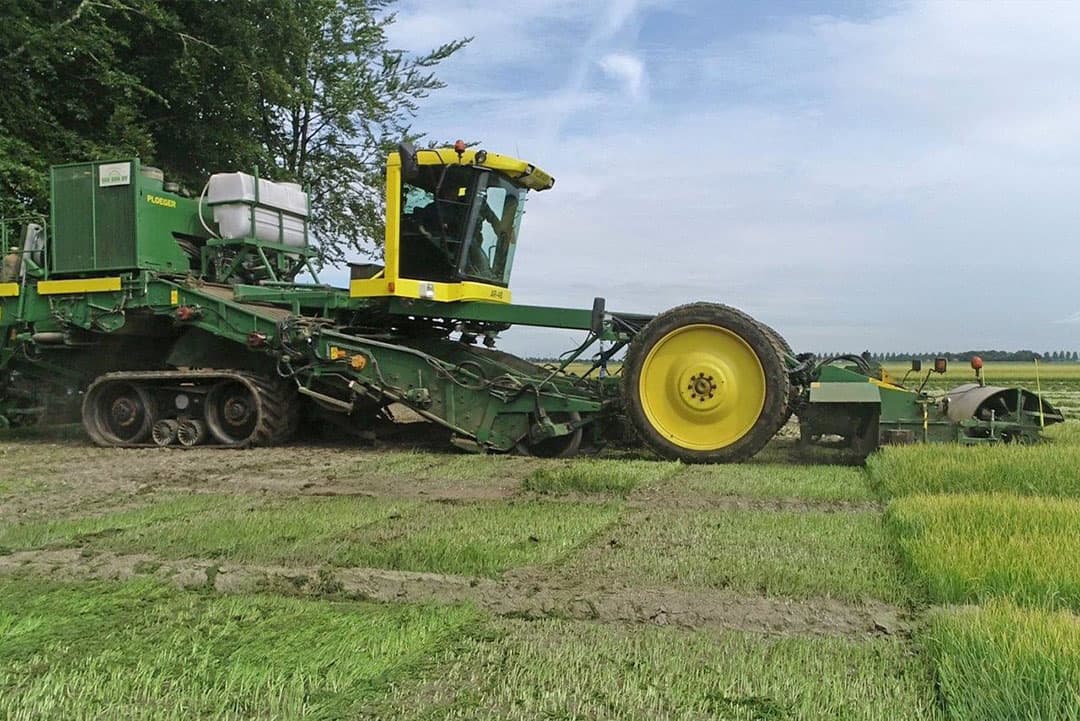 Er komt best wel een hoeveelheid loof vanaf. Dit komt netjes in rijen naast de zwaden te liggen.