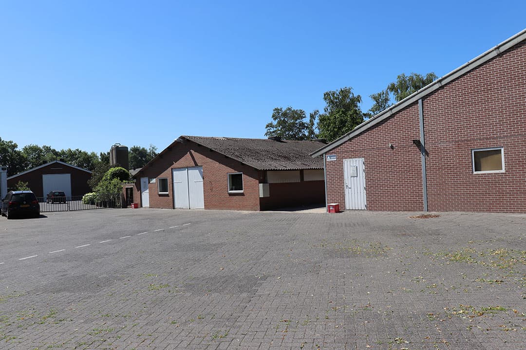 Aan de achterzijde van de woning ligt een overdekt terras en fraaie siertuin. Deze ligt vlak tegen de stallen maar door de lage bezetting is er nauwelijks geuroverlast.
