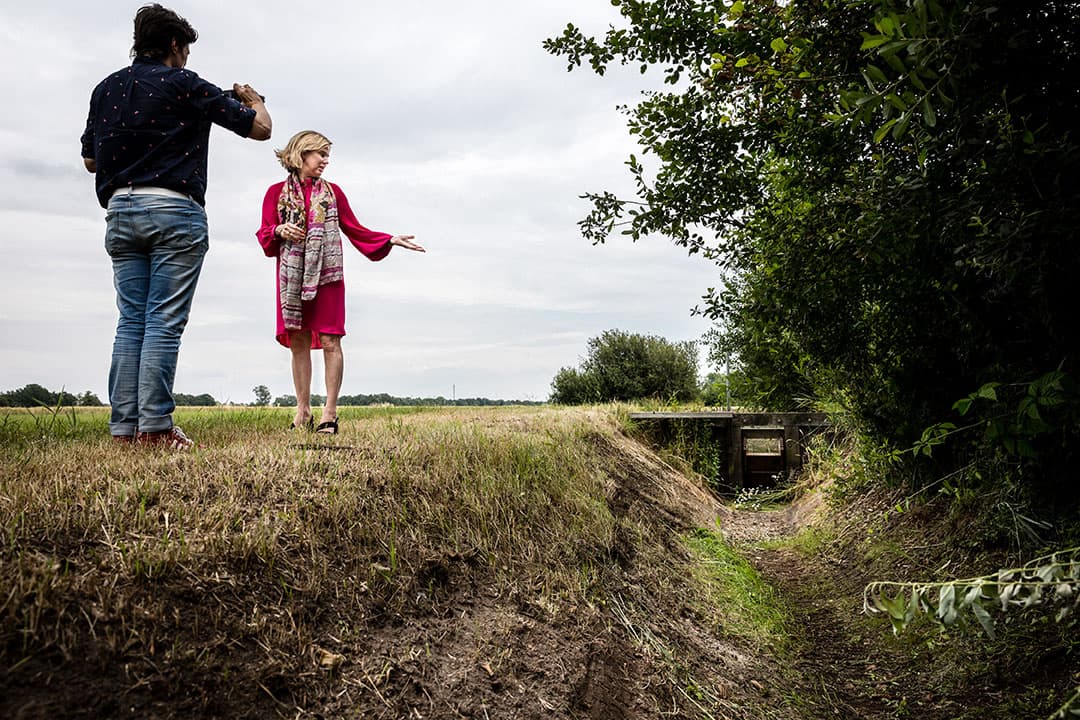 Ook in Duitsland is het droog. Hier kun je zien dat, ondanks de recente regen, de mais aan het verdrogen is. - Foto: ANP