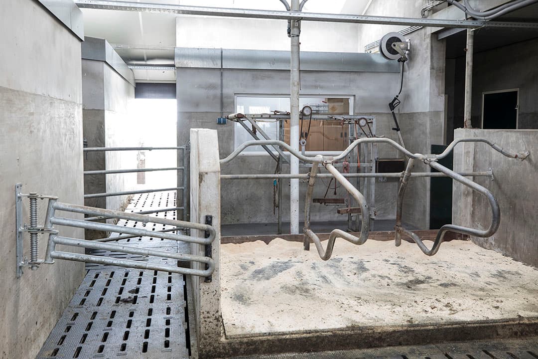 Ook de kalverdrinkautomaat ontzorgt Van der Weerd. Een hoge concentratie melkpoeder zorgt voor een hoge groei van de kalveren.