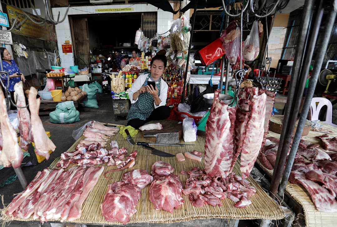 Een Franse schaapsherder brengt zijn schapen van de ene naar de andere kant van Parijs. Daarbij steekt de kudde ook het plein van de Eiffeltoren over, tot verbazing van de aanwezige toeristen. - Foto: AFP