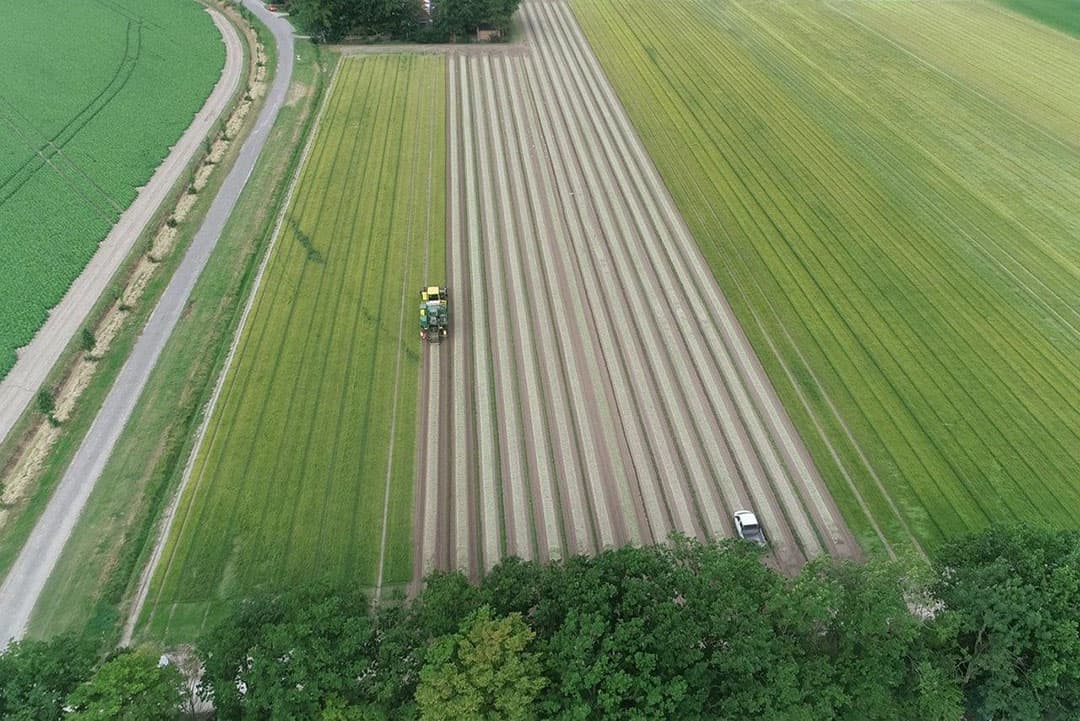Jeroen Schutte in Nagele (Fl.) laat zijn eerste 5 hectare eerstejaars plantuien van het ras Snowball rooien door loonbedrijf Van Dun uit Rutten. Dit gebeurt met een Ploeger AR-4B, bestuurd door Van Dun-medewerker Tim Romkes. - Foto's: Sytze Bakker