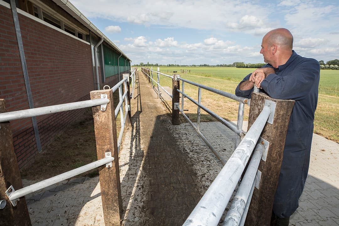 Van der Weerd maakt de roostervloer in de ruime wachtruimte voor de 2 robots schoon. Hier is rubber aangebracht, zodat de koeien meer grip hebben en minder last van klauwproblemen.