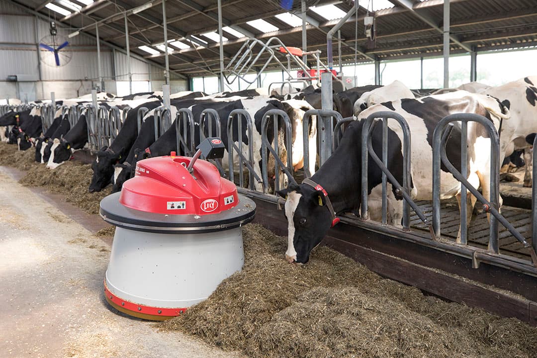 Het iets kleiner uitgevallen kantoor ten gunste van de ruimte met bekapbox.
