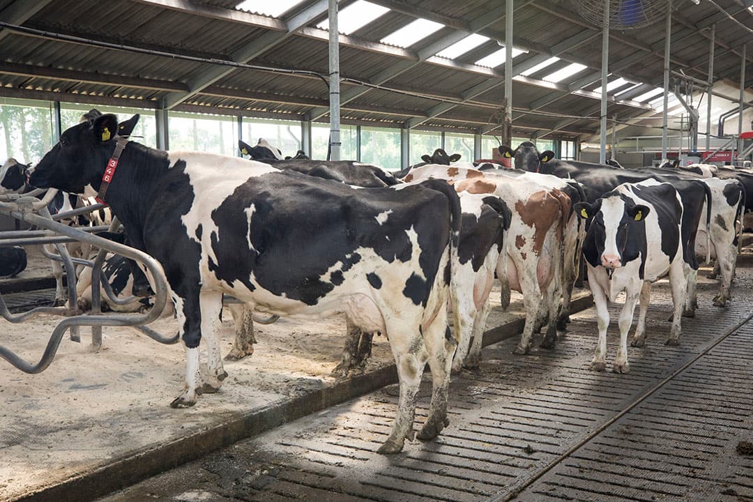 Van der Weerd zorgde hiermee voor 130 kuub extra mestopslag.
