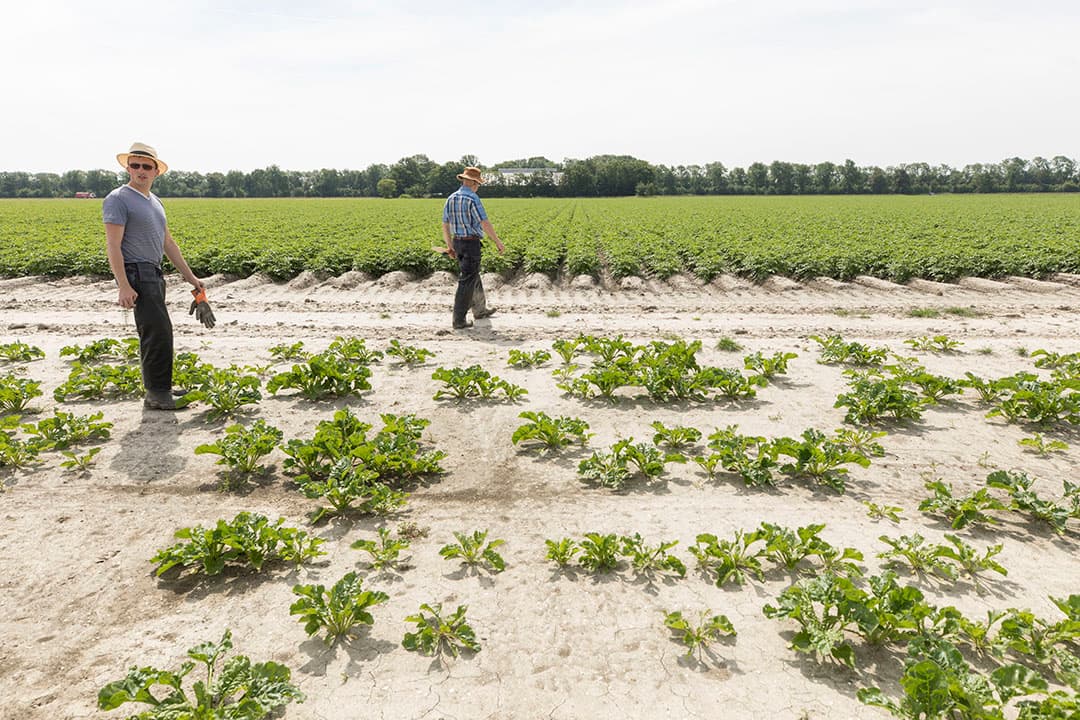 Foto: Koos Groenewold