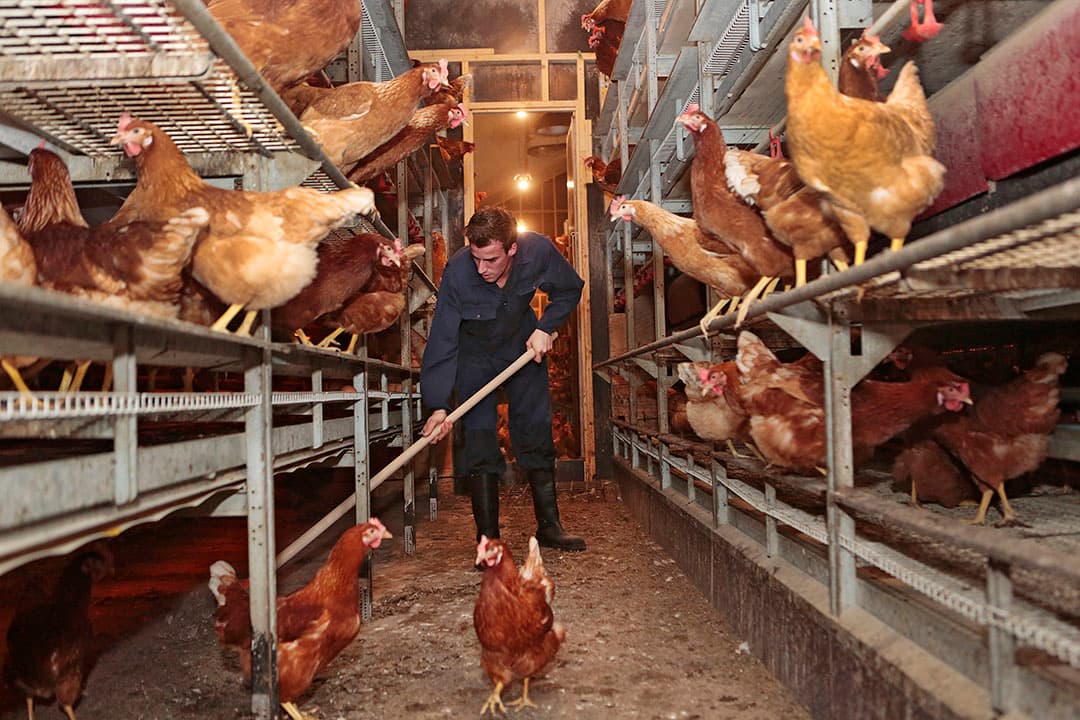 Foto: Ton Kastermans Fotografie