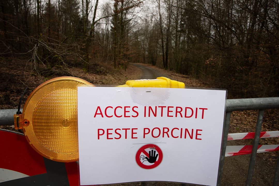 Wallonië sluit nieuw gebied van 7.000 hectare bos af