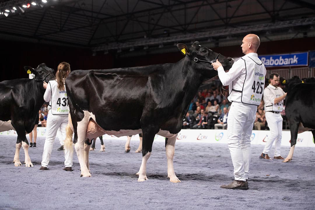 Foto's: Mark Pasveer