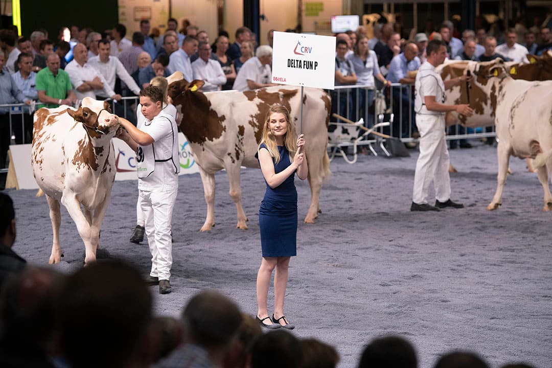 Foto's: Mark Pasveer