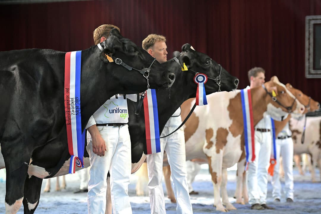 Foto: Mark Pasveer