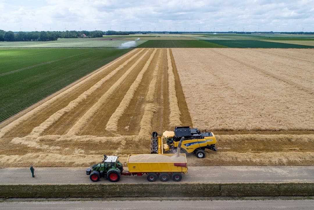 Foto: Sytze Bakker
