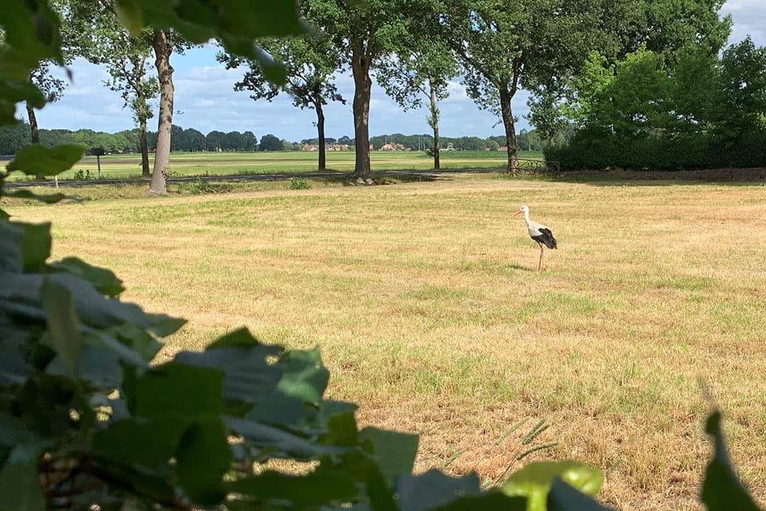 Foto: Martijn ter Horst