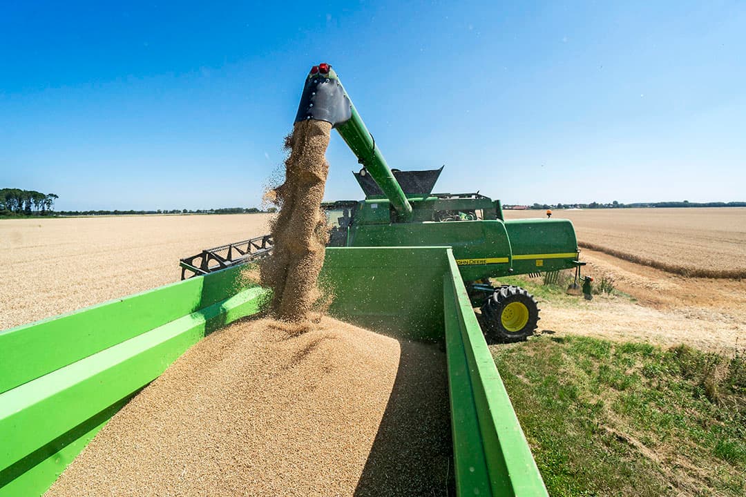 Foto: Jan Willem van Vliet