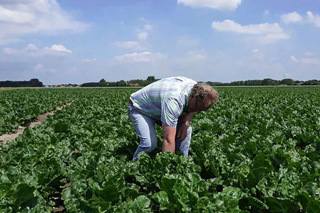Gewassen voorspoedig van start