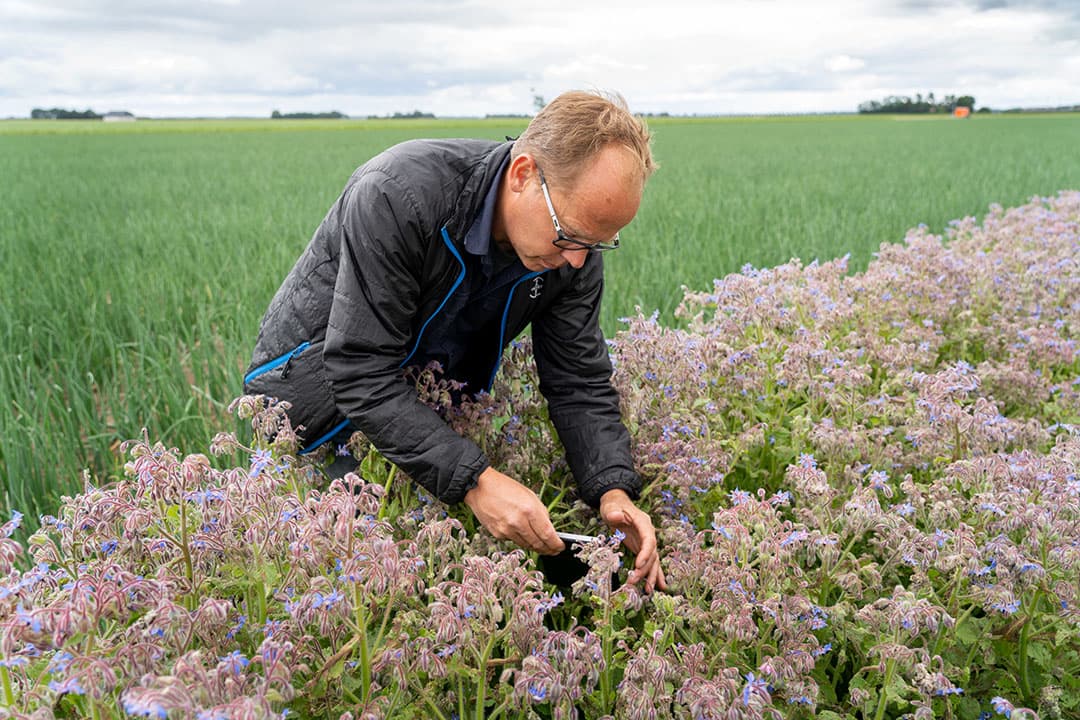 Foto: Jan Willem Schouten