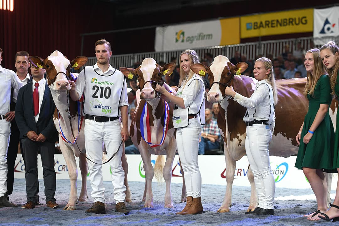 Foto: Mark Pasveer